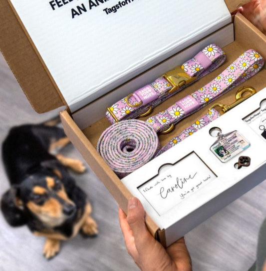 Pet Product