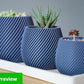 Plant Pots