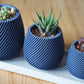 Plant Pots