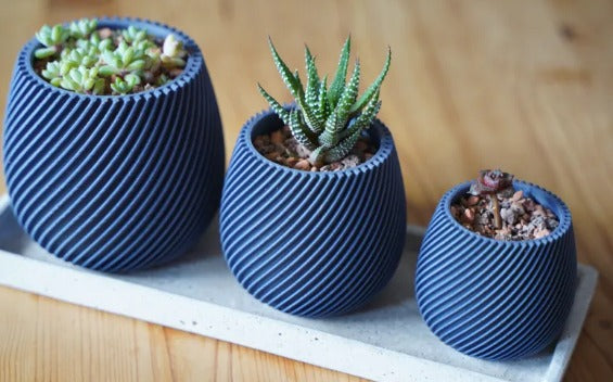 Plant Pots