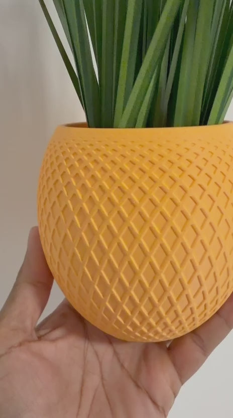 Plant Pots
